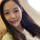 이지효 카카오 검색결과