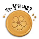 제주원데이투어 이미지