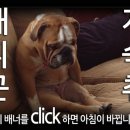 홍종현농장 네이버블로그