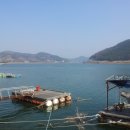 섬진강 망덕포구 이미지