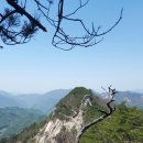 적성삼거리 이미지