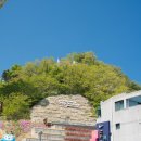 동해시-59 | 동해 묵호 가볼만한 곳 도째비골스카이밸리 자이언트슬라이드 추천