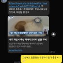 사랑海 | 0901 [0824-2/3] 해(海) 산방산 몽마르카부덴 용머리해안 사계제과버터비 협재해수욕장 용두암