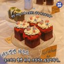 슈가매드 티스토리