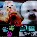 마블사인
