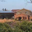 인디언 | 제주 애월 카레 맛집 인디언키친 본점 솔직 후기