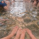 수안보족욕길 | 충주 수안보온천 족욕길 족욕체험장 (무료) 충북 여행 겨울 온천 나들이 가볼만한 곳