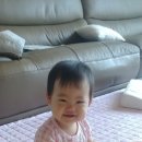 퐁당스윗 이미지
