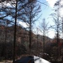 파로호 안보전시관 | [국립화천숲속야영장] 별이 가득한 숲속 힐링 애견동반 캠핑장 장단점 후기