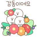 뜨라레 이미지