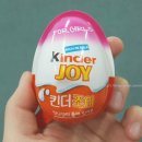 킨더개든 네이버블로그
