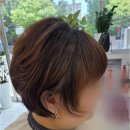 라임뷰티살롱 | 감각이 살아있는 효자동미용실 이야기, 춘천 퇴계동에서 찾은 나만의 스타일링 비법