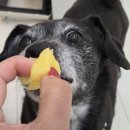 OK 마트 코너 앞 이미지