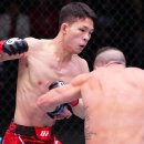 (주)에이펙스메디칼 이미지