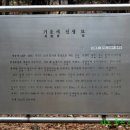 기응세선생묘 티스토리