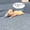전시&amp;팝업 디자인 참여 후기