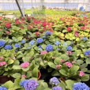 처인대반점 이미지