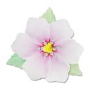 무궁화유치원 이미지