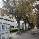 구루메베이커리