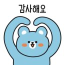 도그하우스 애견미용실 이미지