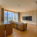 소노펠리체 델피노 이미지