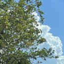 효우농장 이미지