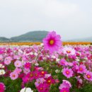 구드래 이미지