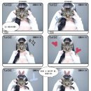 포토아이브가로수길 이미지