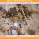 성산특수크리닝 이미지