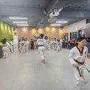 올바른 태권도 이미지