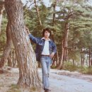 만우솔밭 이미지