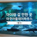 오션키즈강서센터 | 명지 아쿠아플레이하우스 301큰방대여 부산 아이랑 가볼만한곳 부산키즈카페 실내단체모임