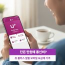 (유)광산서비스센터(LG써비스) | 단돈 만원에 통신비? 유 플러스 알뜰 모바일 요금제 가격 결제 변경 방법