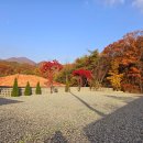 1034 | 산북면 캠핑장 추천, 문경호암 vs 주변 캠핑장 비교 — 가족 캠핑 찐후기