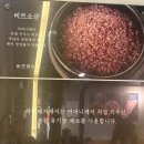 양산 물금 고기집 하면돼지 양산증산점 가족외식 후기