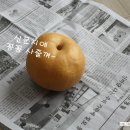 신선해라 이미지