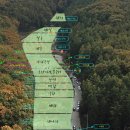 용인랜드 숲속캠핑장 이미지