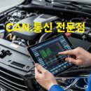 교정카정비 이미지