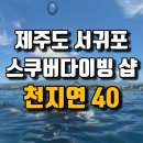 천지연 40! 제주도 스쿠버다이빙 샵 내돈내산 후기!