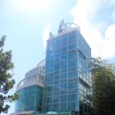 코우코알라 이미지