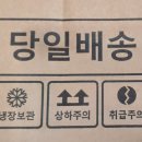 과일파는녀석들