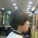 미용그룹세종올림픽