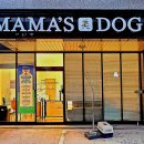 마마스미독 펫살롱 대전점 이미지