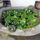 푸른하늘주유소 이미지