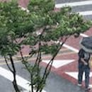 그늘막117 이미지