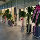 에프와이에스 골프 이미지