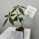 움직임의정석 PT전문센터 이미지