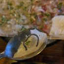 울산 성남동 술집 바라보다, 막썰어회 오징어순대 후기