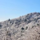 수도권엔 눈발 날릴 듯…서울 '체감 -11도' 진짜 겨울이 온다 이미지