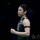 배드민턴 이미지